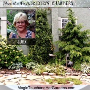 Meet Judy from Magic Touch and Her Gardens.