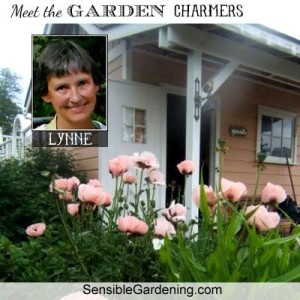Meet Lynne from Sensible Gardening and Living
