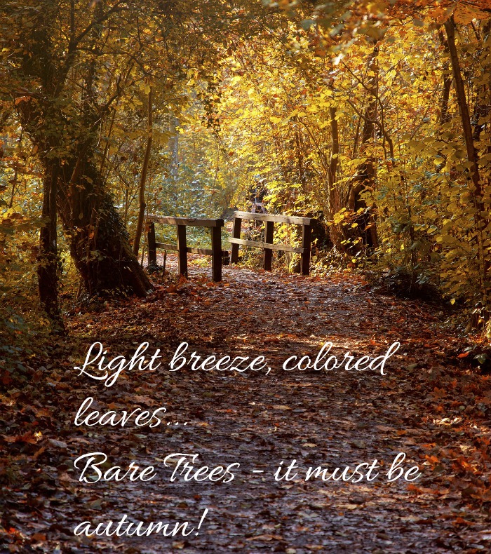 Autumn saying