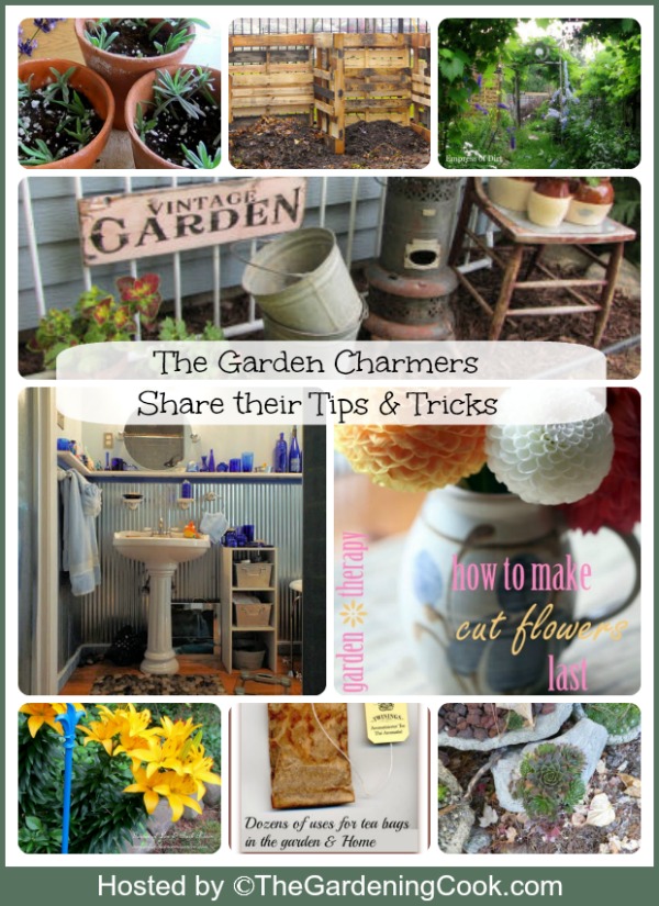 The Garden Charmers share their top tips and tricks.,