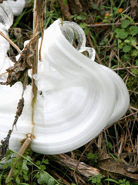 Frost flower