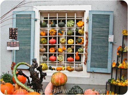 a window of pumpkin decor
