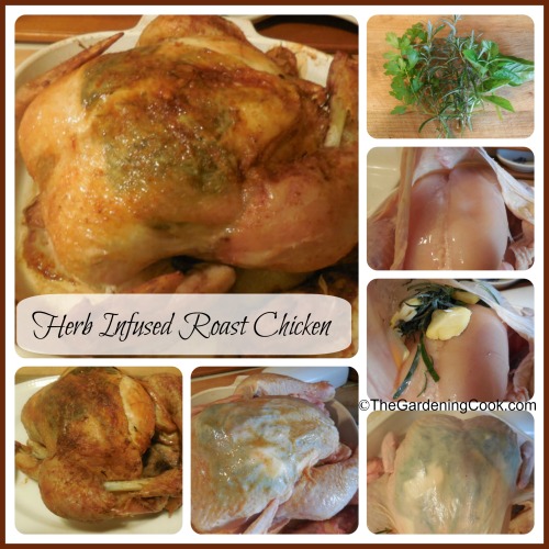 Herb Infused Roast Chicken 