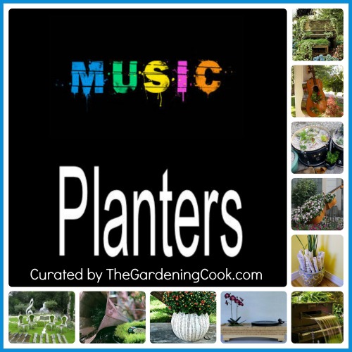 Great selection of Creative Musical planters