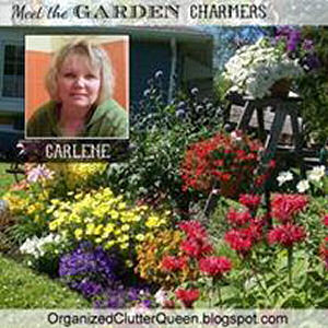 Meet Carlene from Organized Clutter