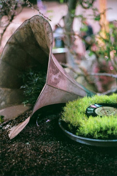 Gramaphone planter - unique