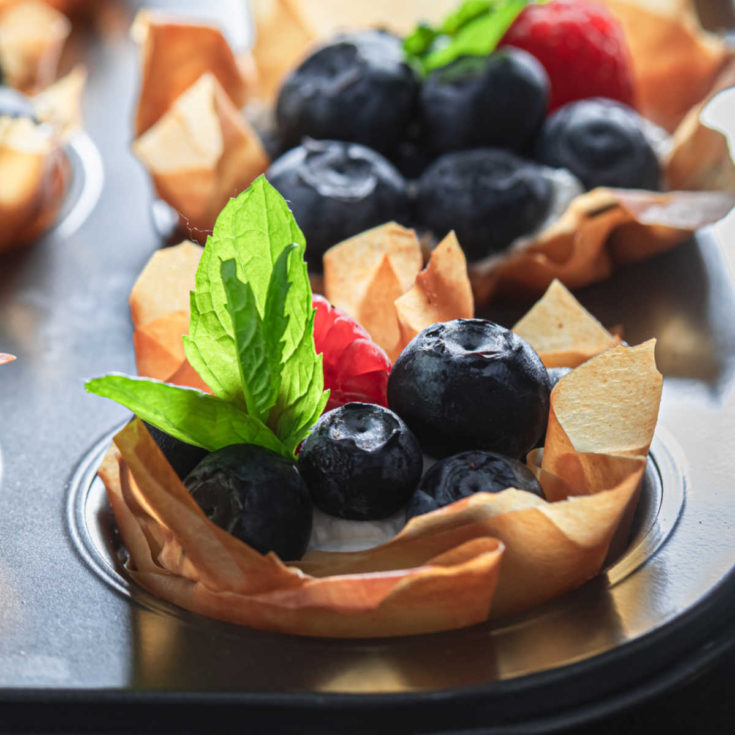 Blueberry and raspberry fruit tart in a phyllo shell.