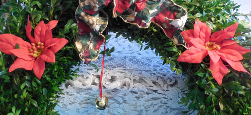 Poinsettia flowers