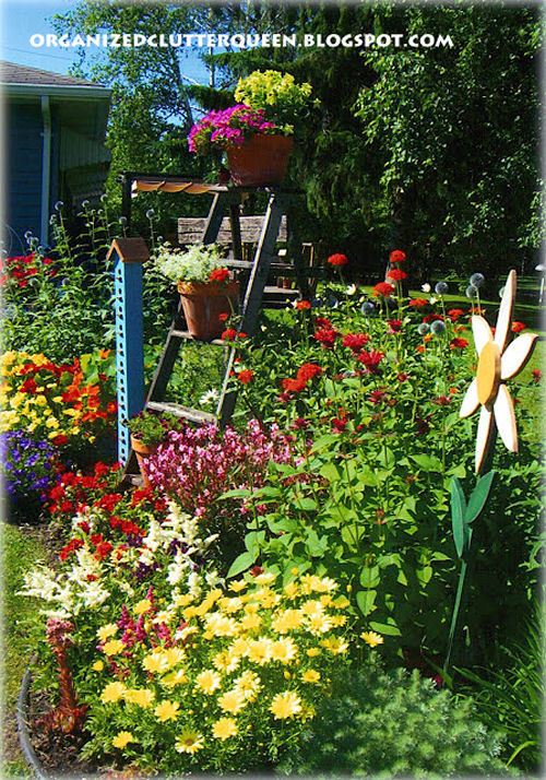 Front Garden Border from organizedclutterqueen.blogspot.com