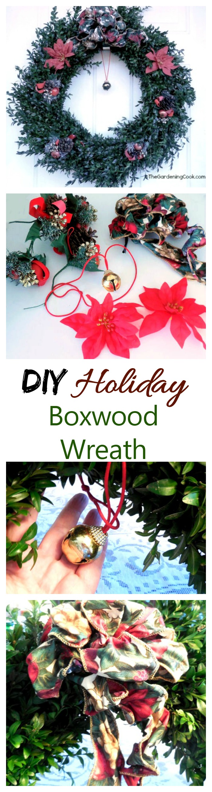 This DIY boxwood Christmas wreath is a nice change from a traditional fir type of wreath. See how to make it on thegardeningcook.com