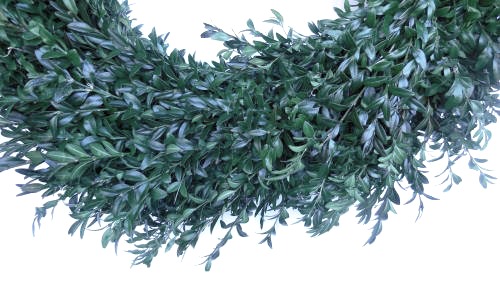 Front of the boxwood wreath