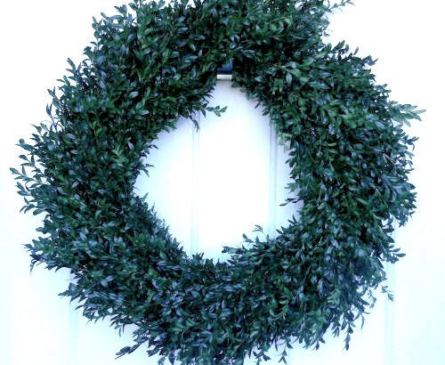 Finished boxwood wreath