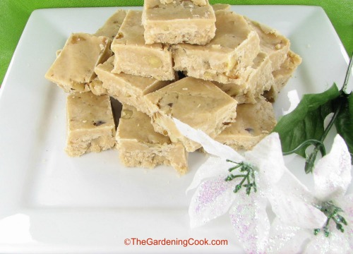 Vegan peanut butter fudge
