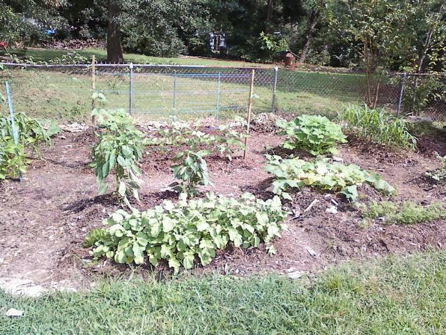 VEgetable Garden
