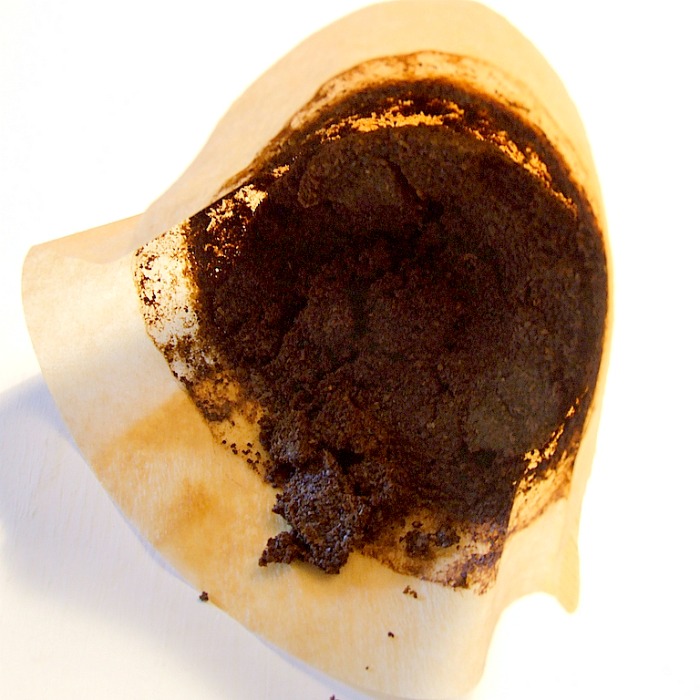 Coffee Grounds for Hydrangeas, Roses and Camellias – A Natural Fertilizer