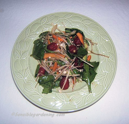 Spinach salad with fresh raspberries