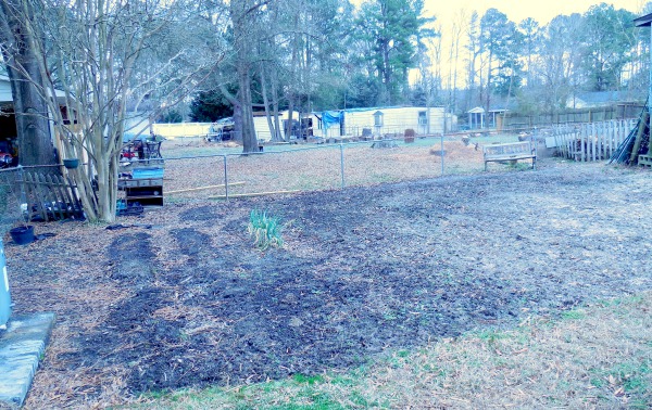 Vegetable Garden Plot