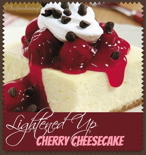 Lightened up Chocolate Cherry Cheesecake