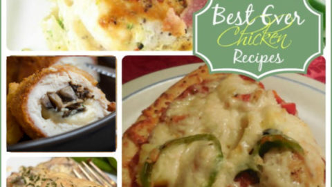 The Best Ever Chicken Recipes