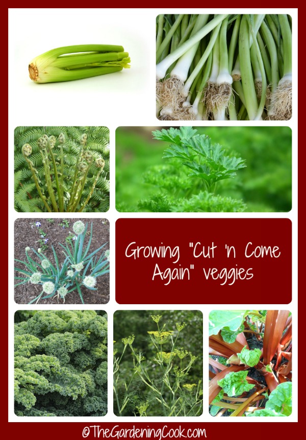 Cut and come again vegetables give you months and months of harvest. Some can even be grown indoors during the winter.