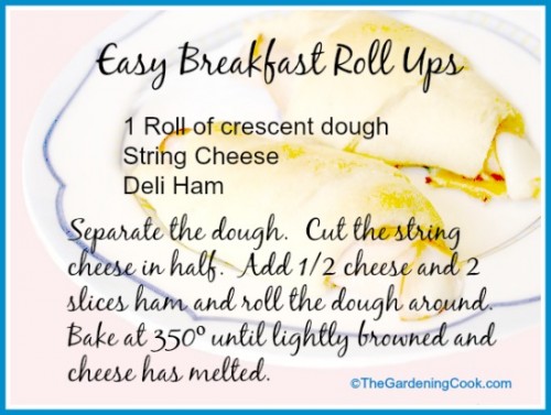 Easy breakfast roll ups - just 3 ingredients