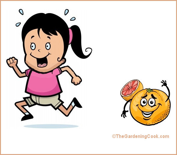 drop and run