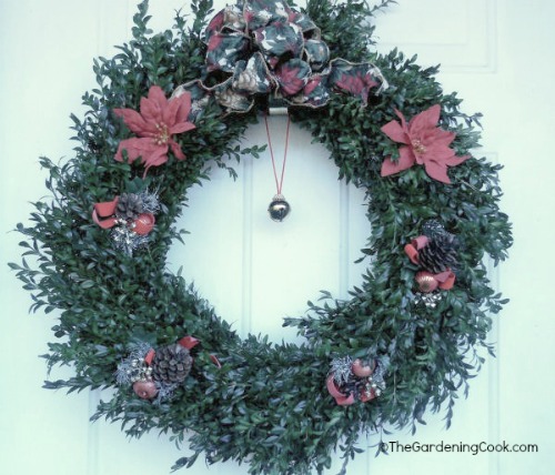 Boxwood Christmas wreath