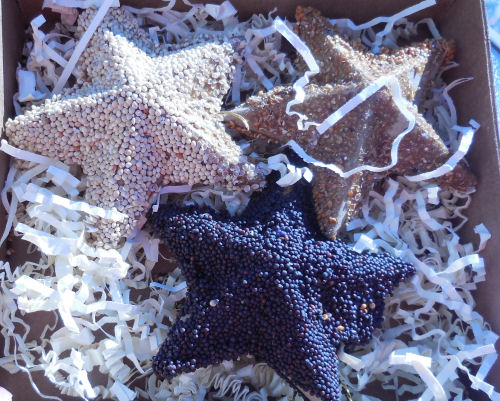 Star shaped bird feeder ornaments
