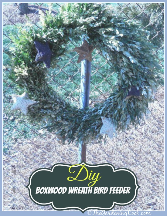 DIY Boxwood Wreath Bird Feeder