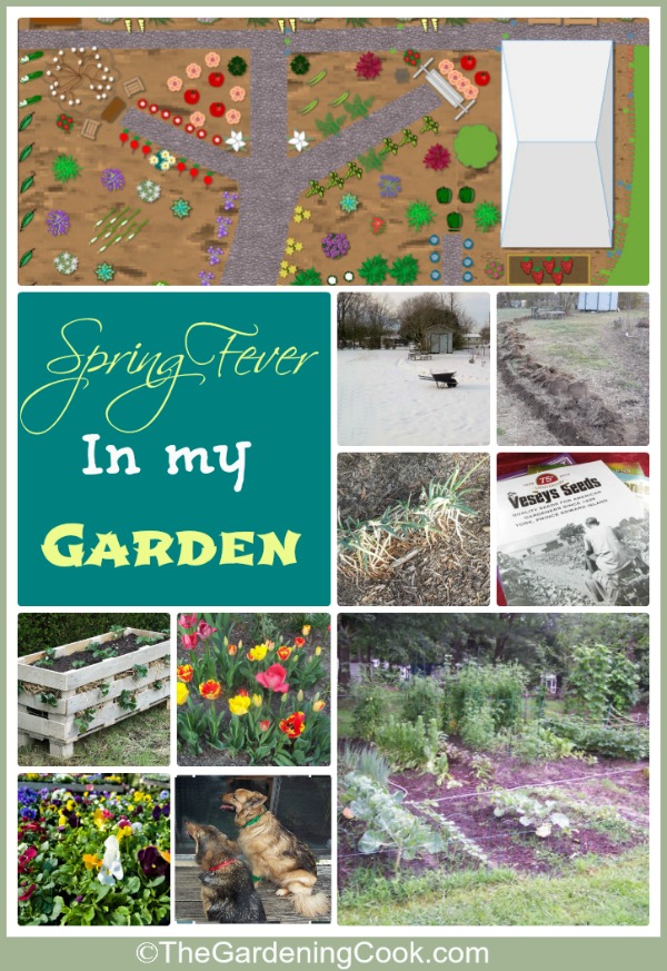 Spring Fever in The Garden