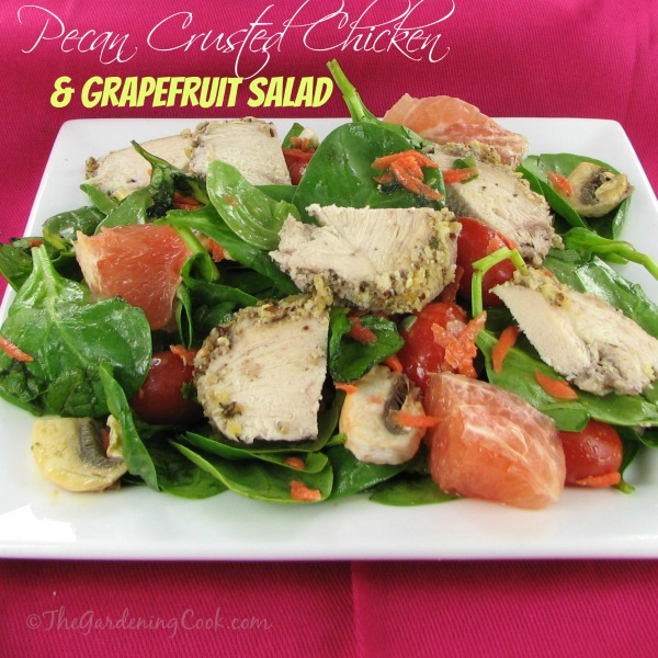 Pecan Crusted Chicken Spinach Salad with Fresh Grapefruit