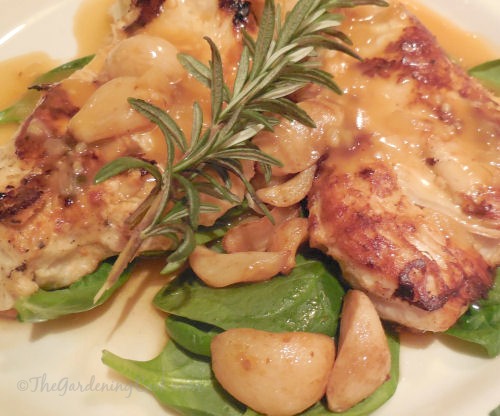 Olive Garden Copycat recipe: Chicken with roasted garlic, mushrooms and rosemary on wilted spinach