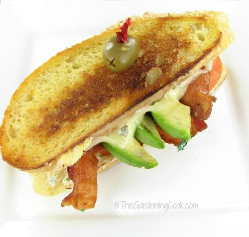 Lasagne sandwich