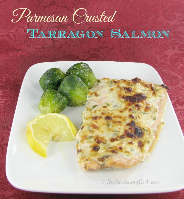 Parmesan Crusted Salmon with Tarragon