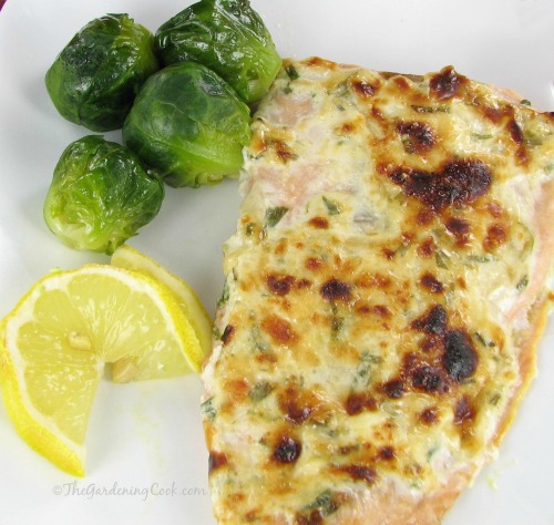 Parmesan Crusted Salmon with Tarragon