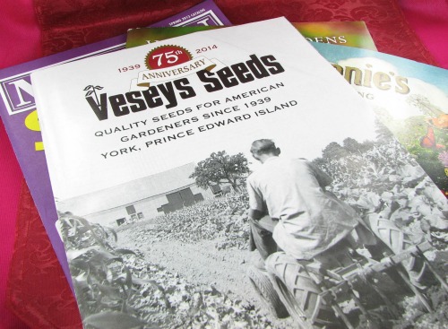 Seed catalogues for spring