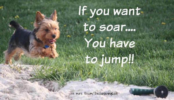 Motivational Quotes to Inspire you