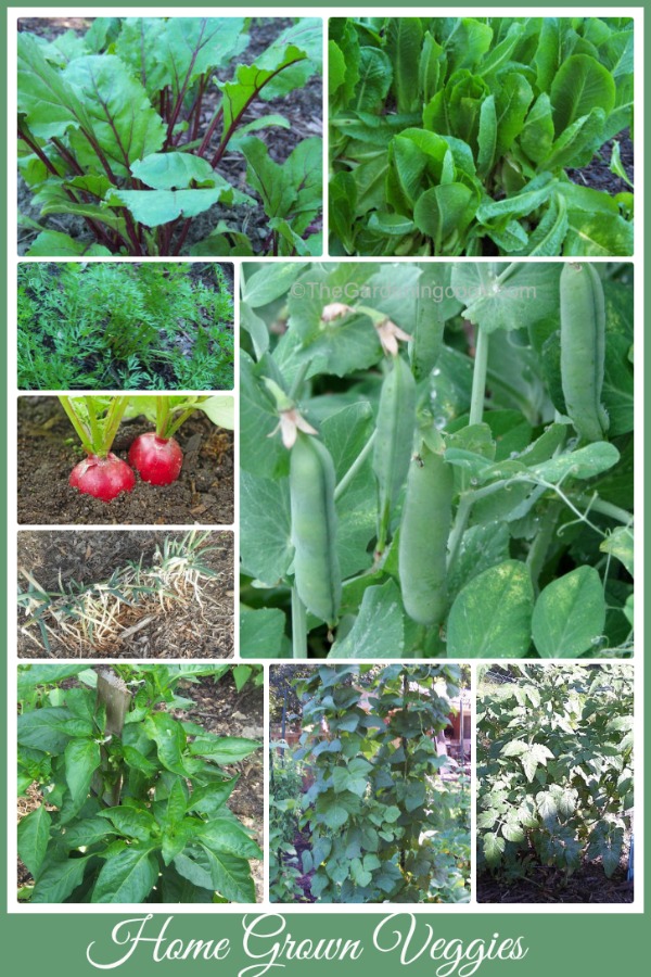 Vegetables for 2014