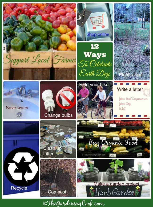 12 Easy ways to Celebrate Earth Day on April 22 and year round. #EarthDayProjects