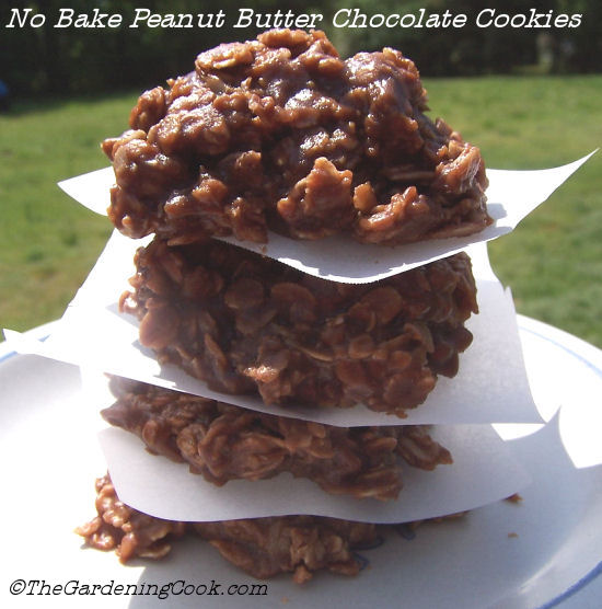 No Bake peanut butter chocolate cookie