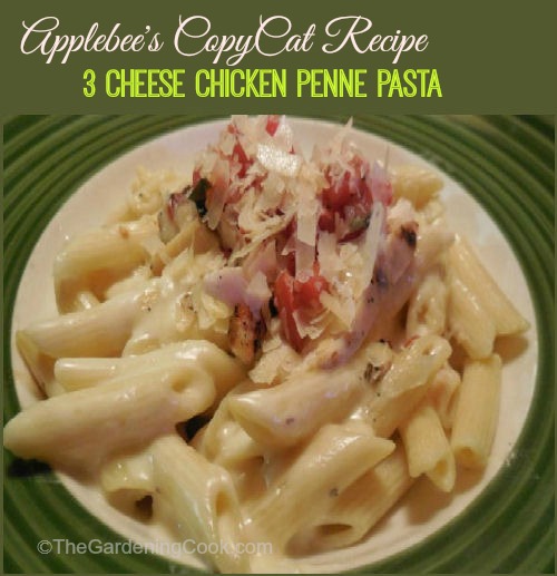 chicken penne pasta recipe Applebee's copy cat recipe - 3 cheese chicken penne pasta with Alfredo sauce