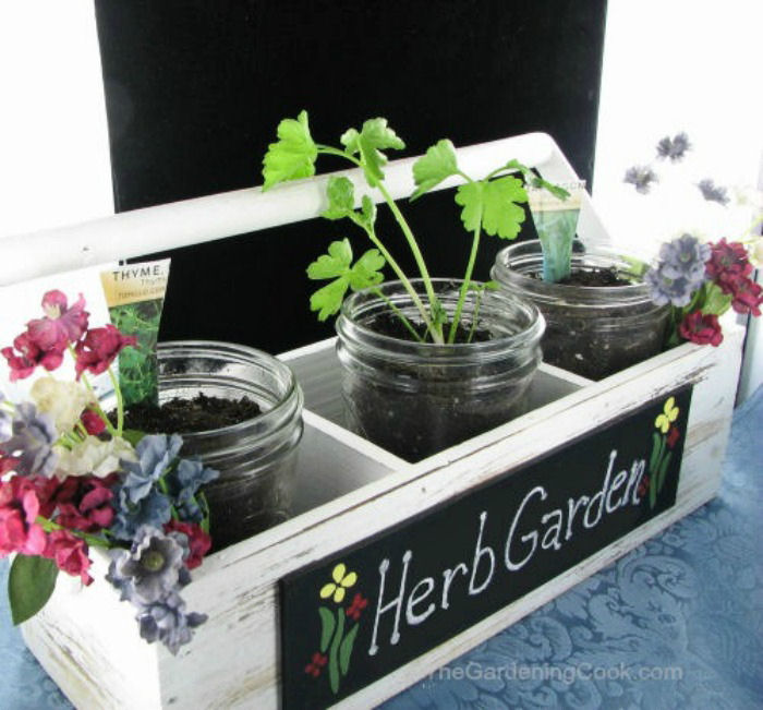 Make a DIY herb garden planter for an Earth Day project