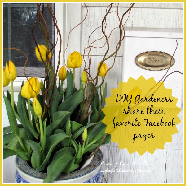 DIY Gardeners Share Their favorite Facebook pages