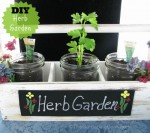 DIY Cottage Chic Herb Garden With Mason Jars