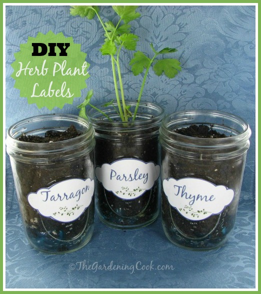 DIY Herb Labels - Free Printable Graphic