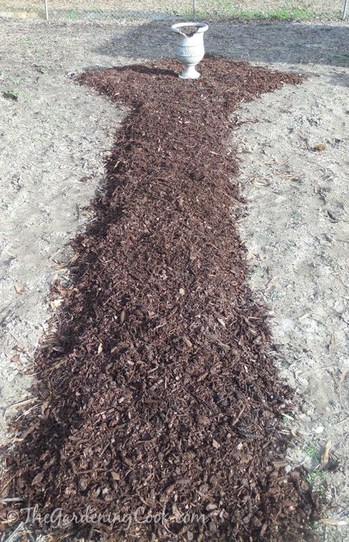 Beginning of my garden paths