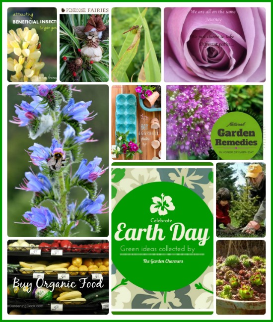 Celebrate Earth Day with The Garden Charmers #EarthDayProjects