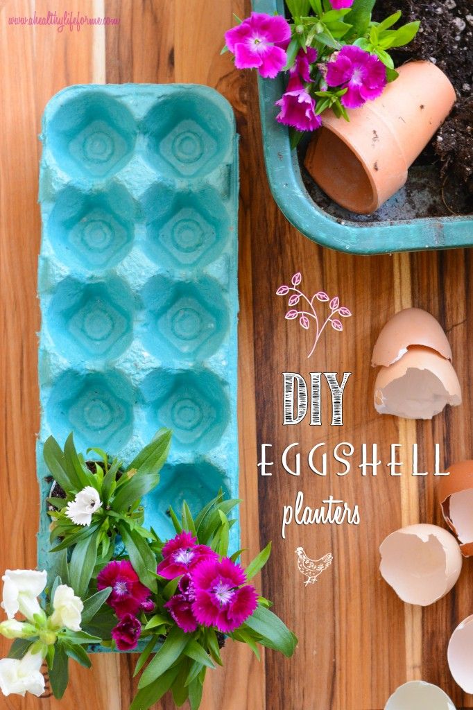 Egg shell ploanters #EarthDayProjects from ahealthylifeforme.com