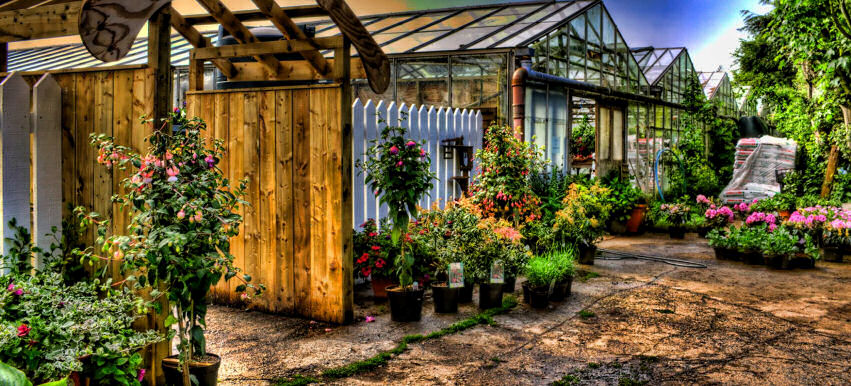 Ballenelson Nurseries on Facebook