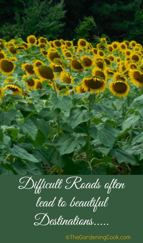 Difficult roads often lead to beautiful destinations